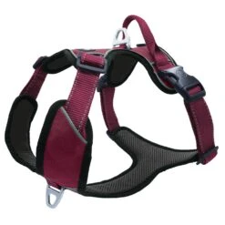 Petlando Outdoor Geschirr Berry