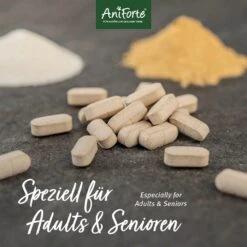 AniForte AgilityVET Gelenktabletten -Günstiges Wuff Pflege Geschäft 0061506 aniforte agilityvet gelenktabletten