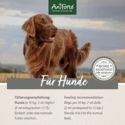 AniForte BARF-Line Premium Futteröl -Günstiges Wuff Pflege Geschäft 0061514 aniforte barf line premium futterol