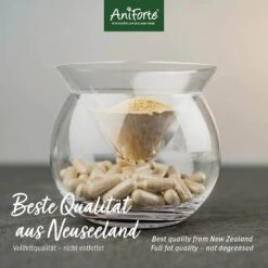 AniForte Grünlippmuschel Kapsel -Günstiges Wuff Pflege Geschäft 0061547 aniforte grunlippmuschel kapsel