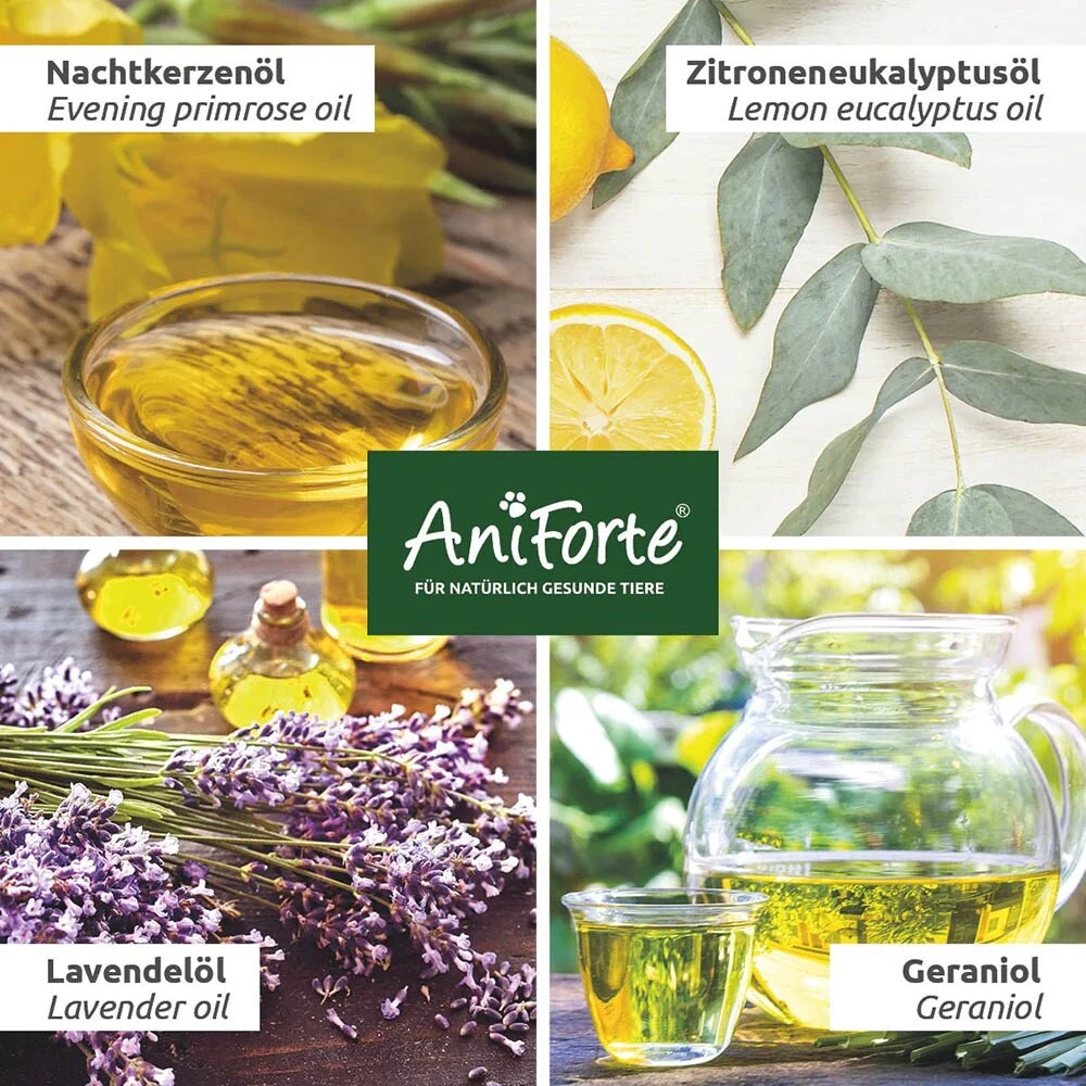 AniForte Grasmilben-EX Spray 8 AniForte Grasmilben-EX Spray – Bild 6