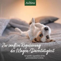 AniForte MagenSanft Pulver -Günstiges Wuff Pflege Geschäft 0061573 aniforte magensanft pulver