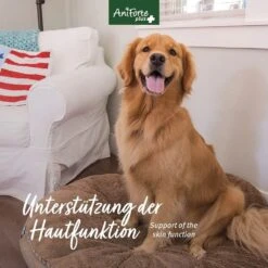 AniForte Plus Fell & Haut -Günstiges Wuff Pflege Geschäft 0061575 aniforte plus fell haut
