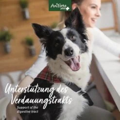 AniForte Plus Magen & Darm -Günstiges Wuff Pflege Geschäft 0061582 aniforte plus magen darm