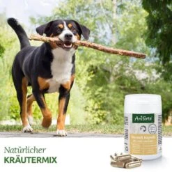 AniForte WermiX Kapseln Für Hunde -Günstiges Wuff Pflege Geschäft 0061591 aniforte wermix kapseln fur hunde