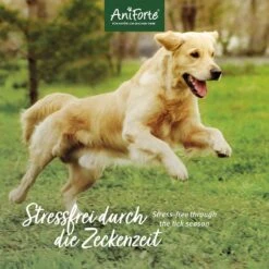 AniForte ZeckenSchild Kapseln Für Hunde -Günstiges Wuff Pflege Geschäft 0061593 aniforte zeckenschild kapseln fur hunde
