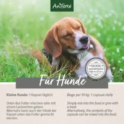AniForte ZeckenSchild Kapseln Für Hunde -Günstiges Wuff Pflege Geschäft 0061594 aniforte zeckenschild kapseln fur hunde
