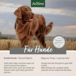 AniForte ZeckenSchild Kapseln Für Hunde -Günstiges Wuff Pflege Geschäft 0061596 aniforte zeckenschild kapseln fur hunde