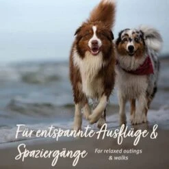  AniForte Relax-Snack -Günstiges Wuff Pflege Geschäft 0061989 aniforte relax snack