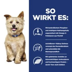 Hills Prescription Diet K/d Canine Kidney Care -Günstiges Wuff Pflege Geschäft 0062372 hills prescription diet kd canine kidney care