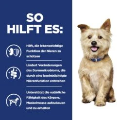 Hills Prescription Diet K/d Canine Kidney Care -Günstiges Wuff Pflege Geschäft 0062377 hills prescription diet kd canine kidney care