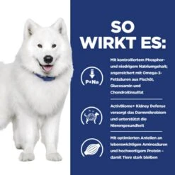 Hills Prescription Diet K/d Plus Mobility Hundefutter -Günstiges Wuff Pflege Geschäft 0062391 hills prescription diet kd plus mobility hundefutter